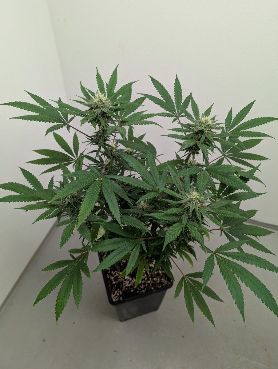 PXL 20250902 114008546