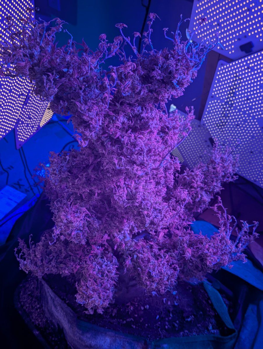 PXL 20250903 112346700