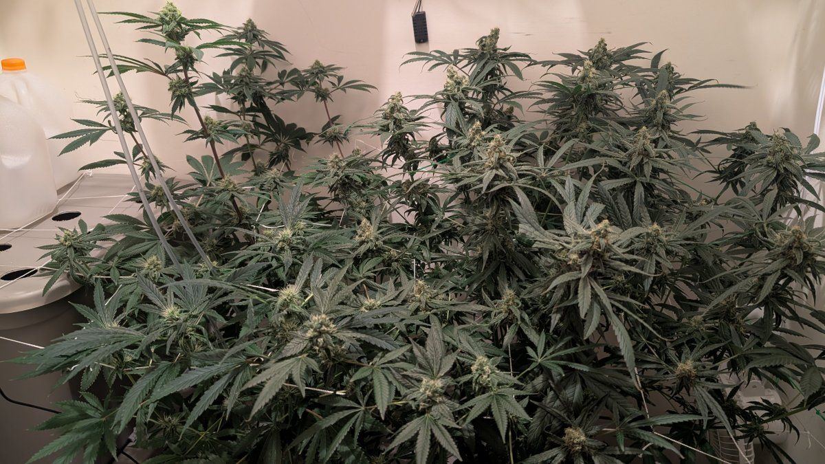 PXL 20250903 140714827