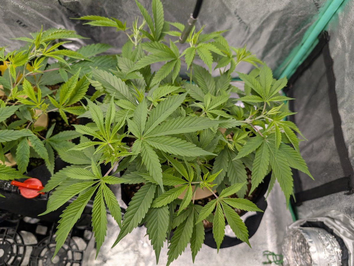 PXL 20250906 124234028