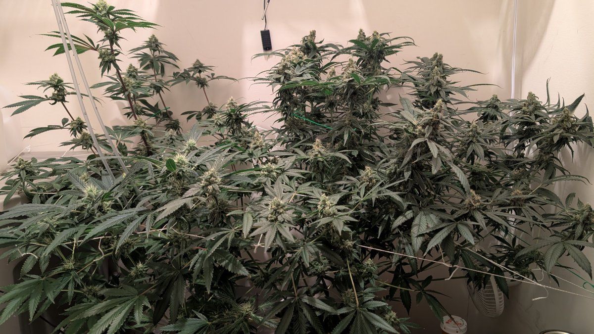 PXL 20250908 025333302