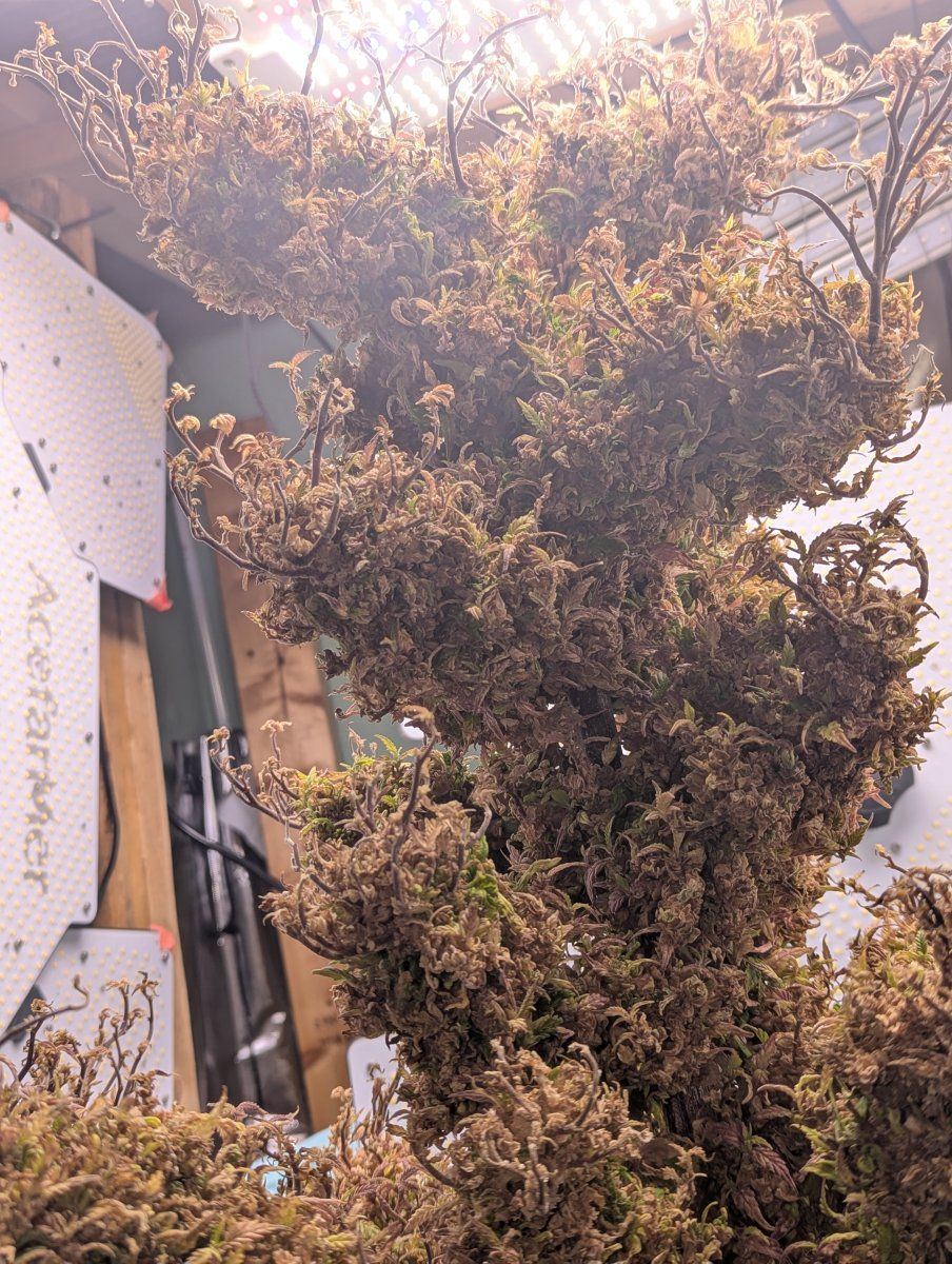 PXL 20250912 170709170