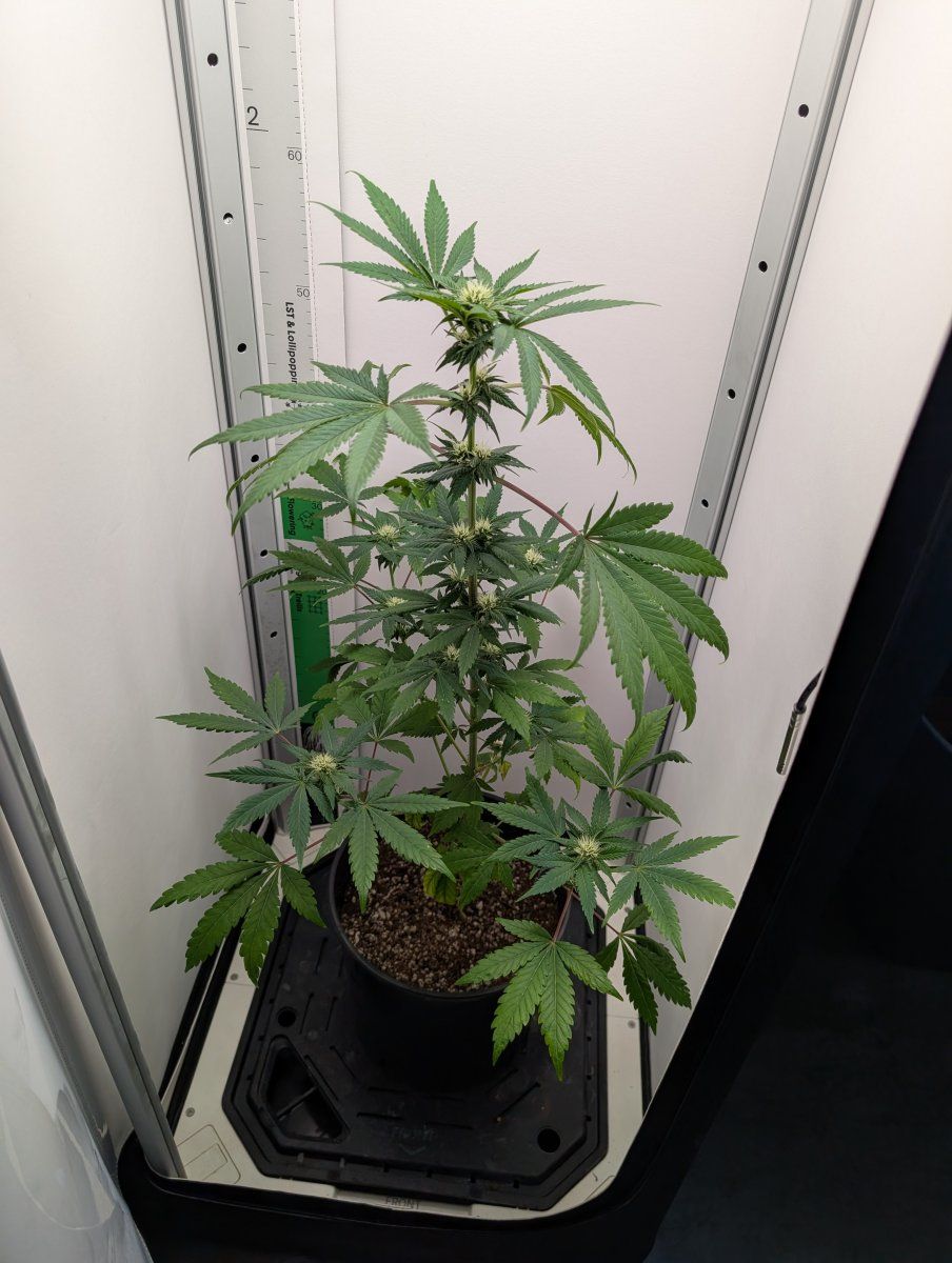 PXL 20250914 160359552
