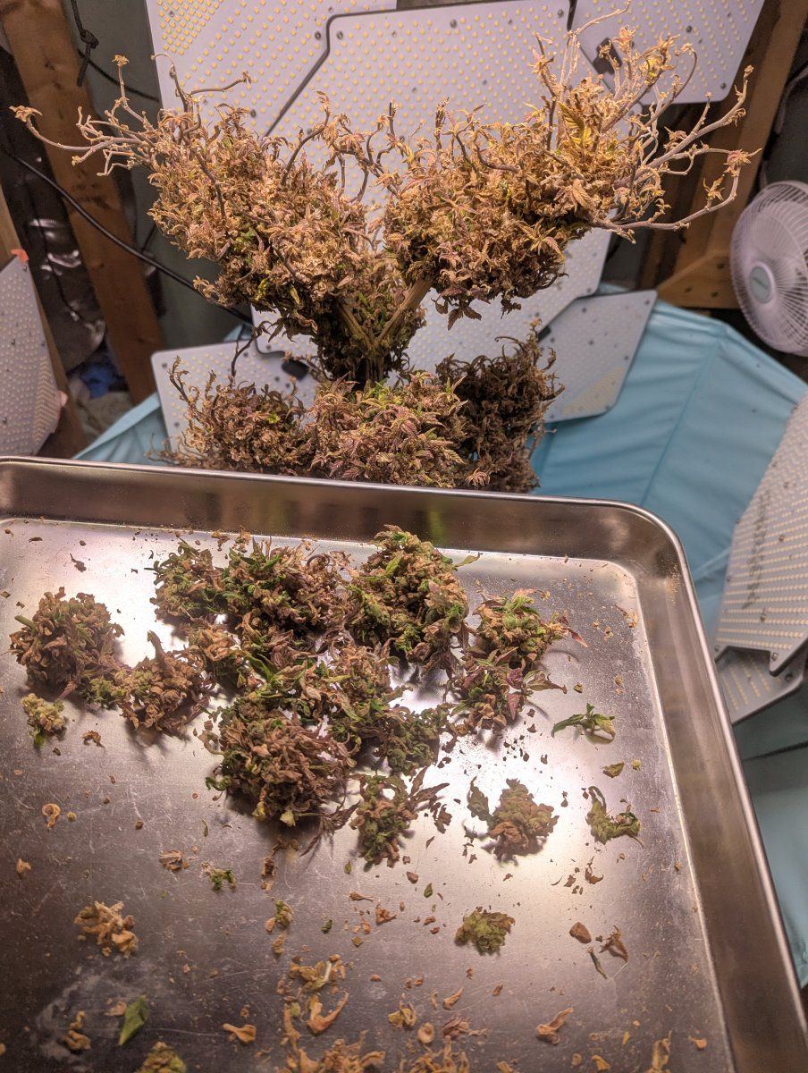 PXL 20250915 154202865