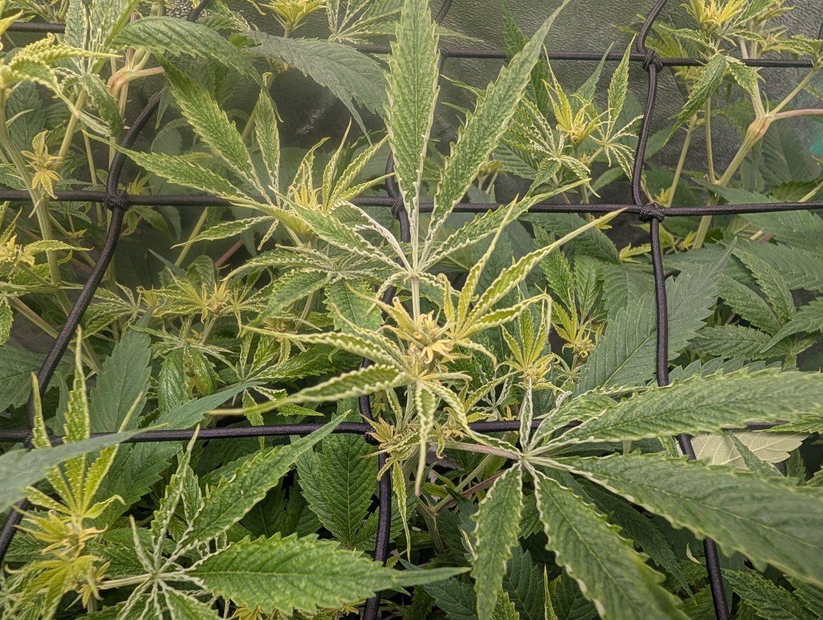 PXL 20250922 105926877