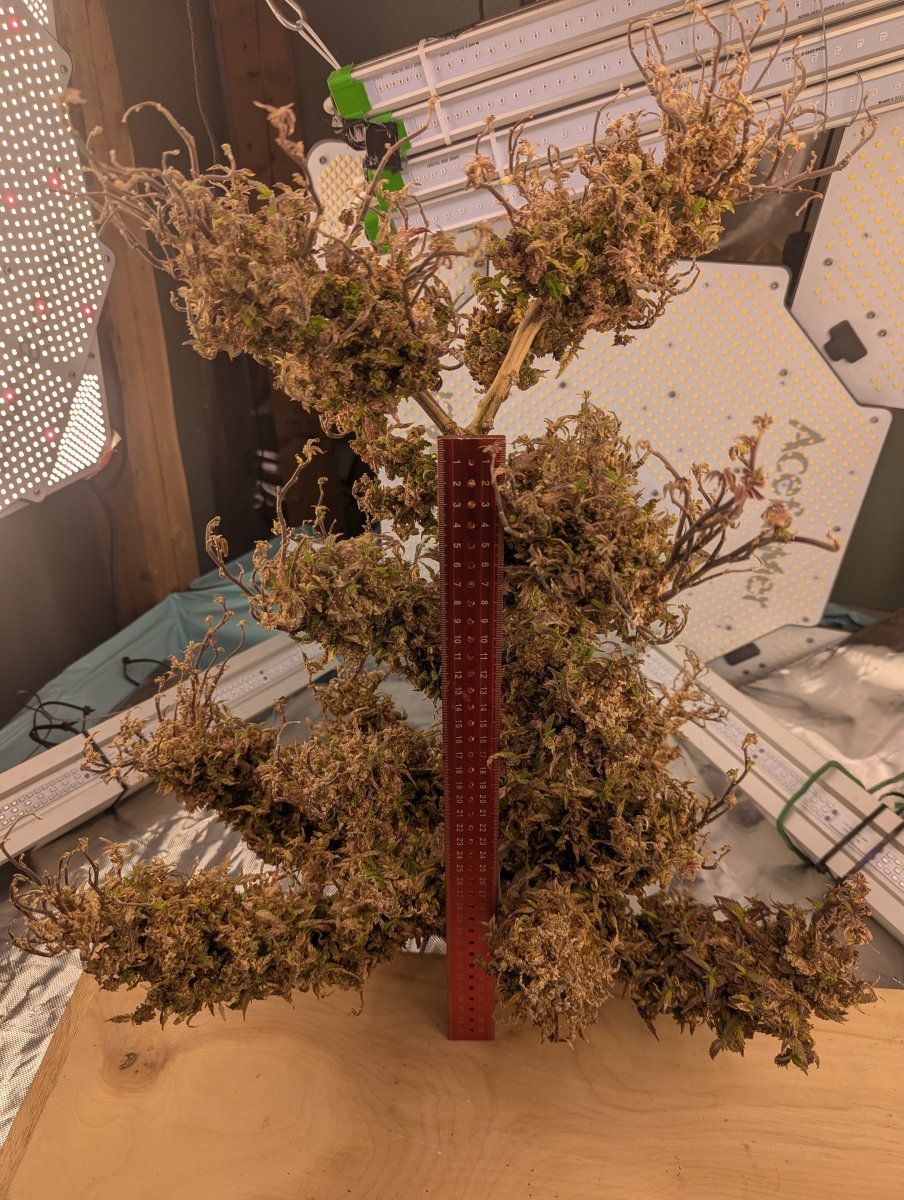 PXL 20250923 212057280
