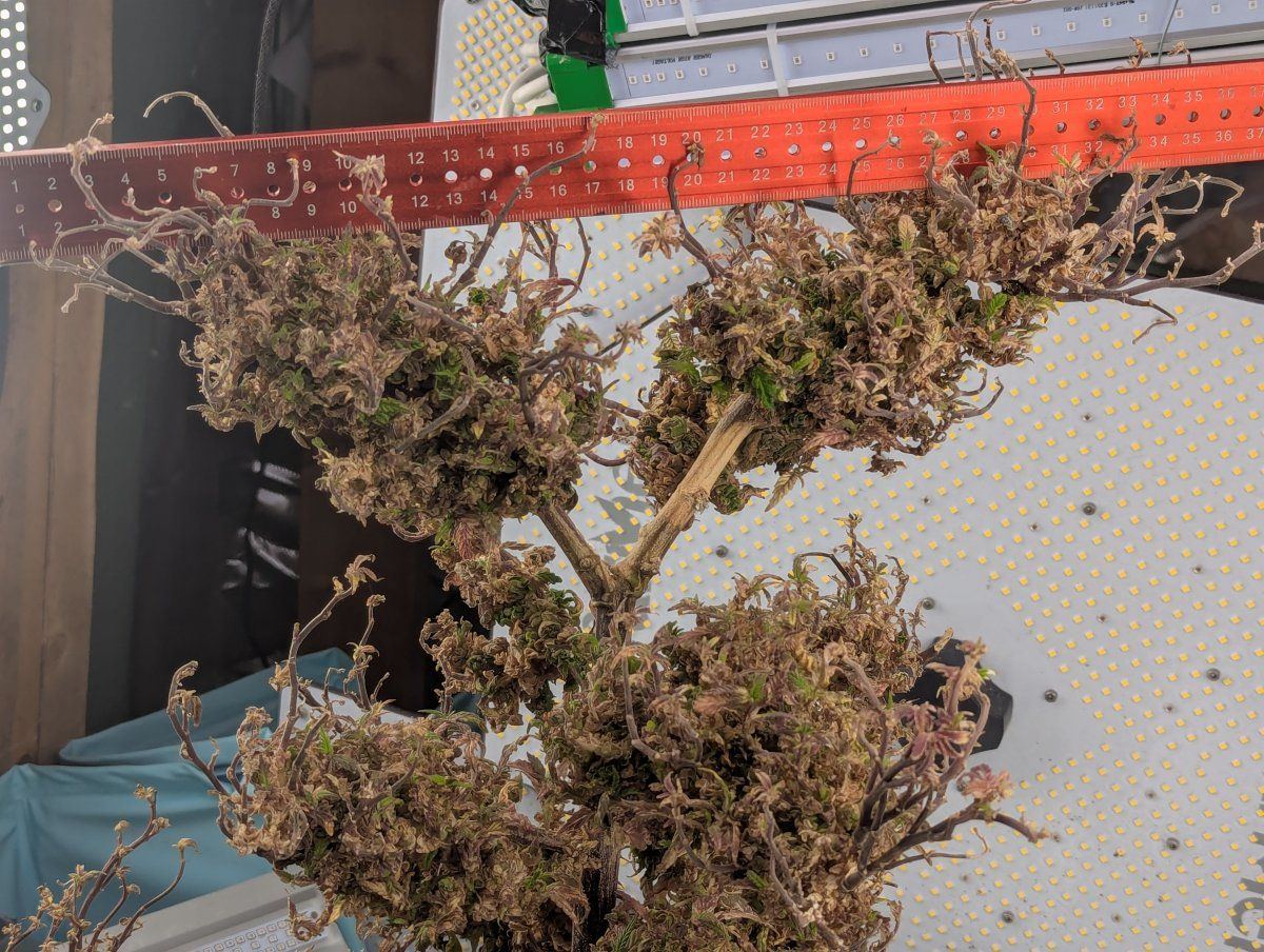 PXL 20250923 212236359