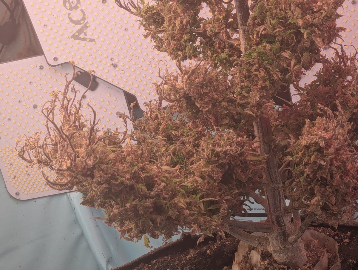 PXL 20250926 172011802