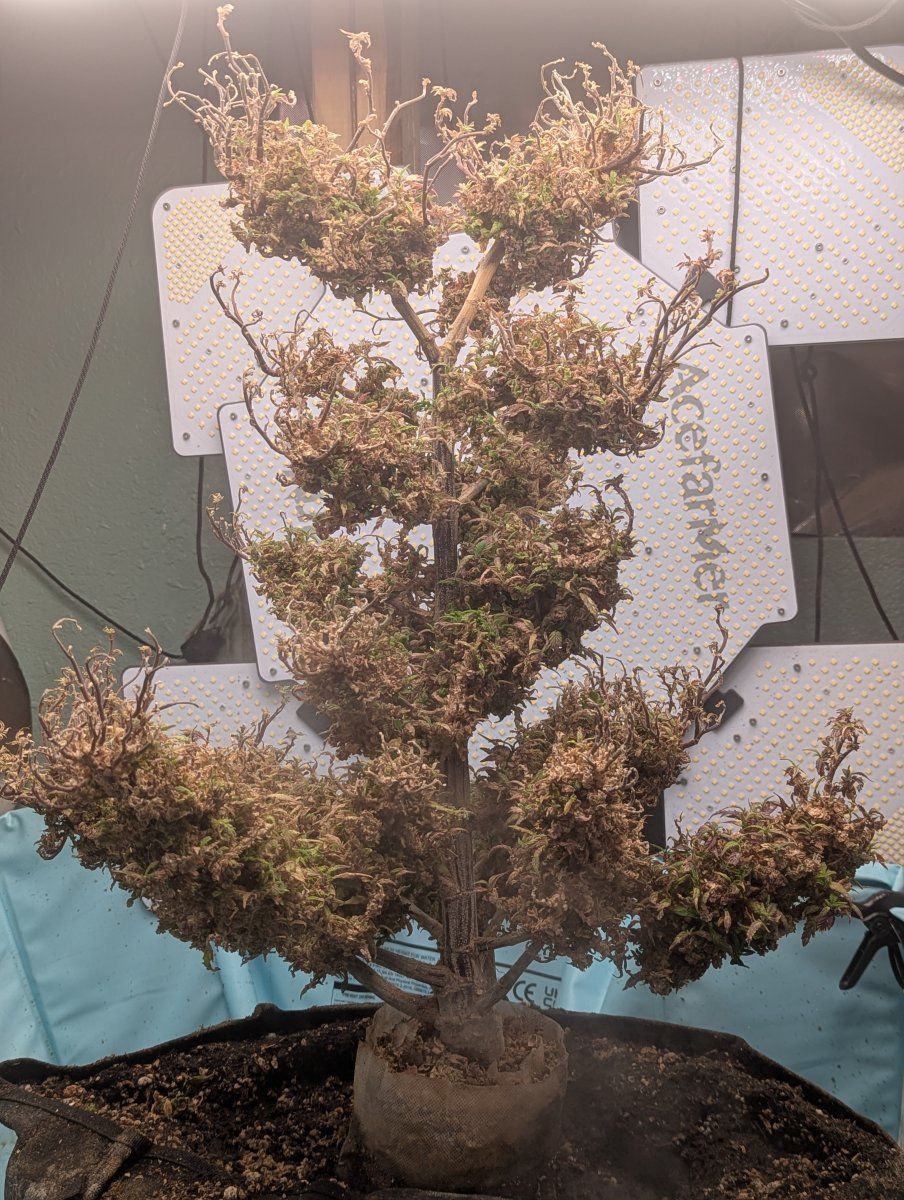 PXL 20250927 150211732