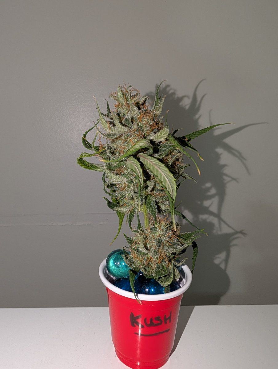 PXL 20250927 231229893