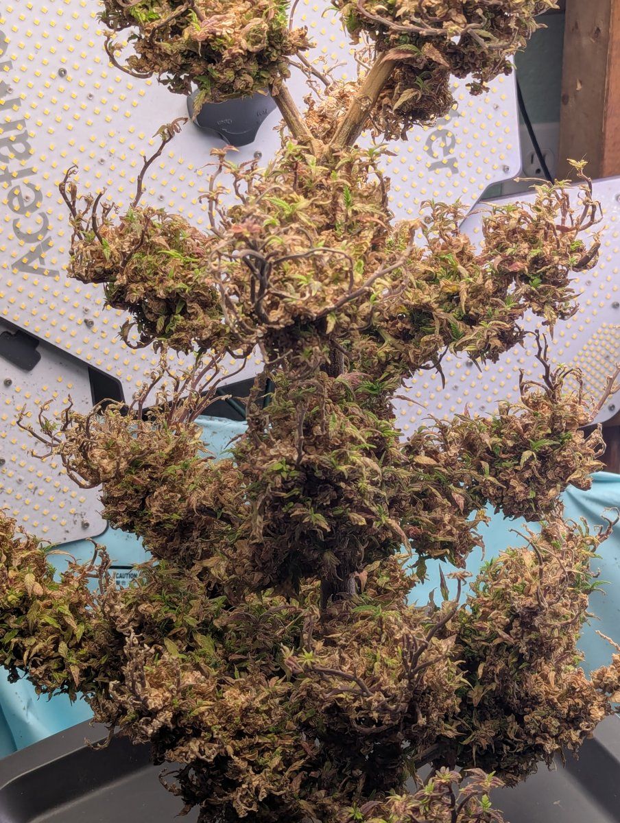 PXL 20250929 020903494
