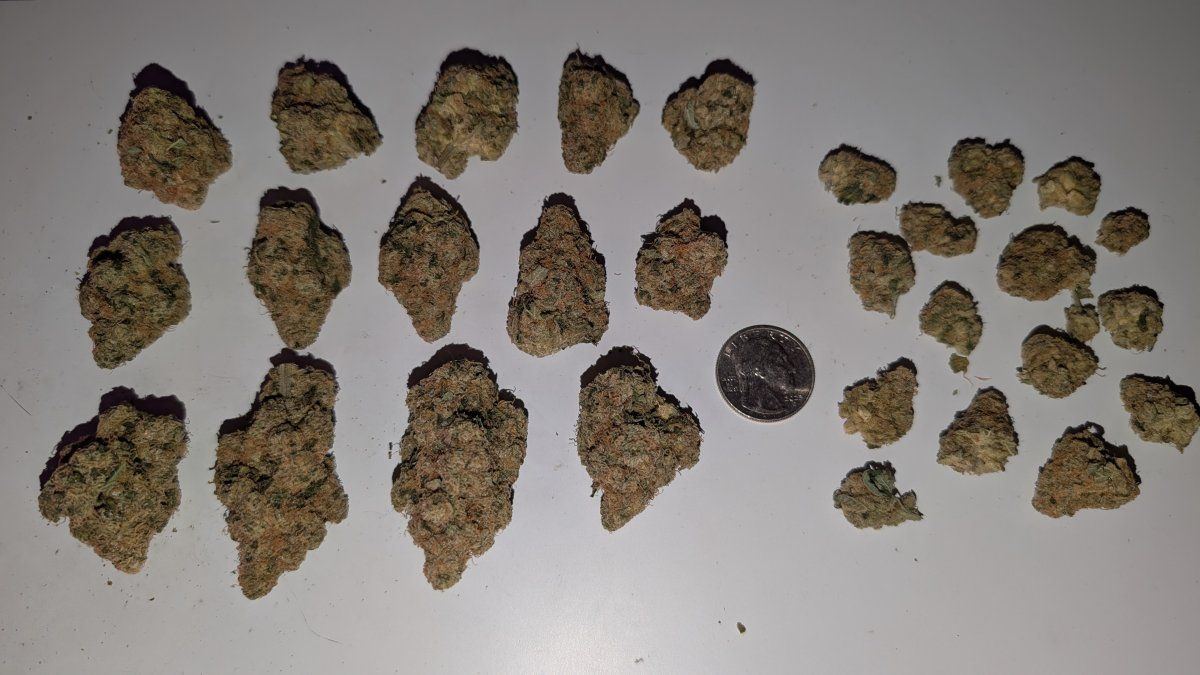 PXL 20251005 040918139