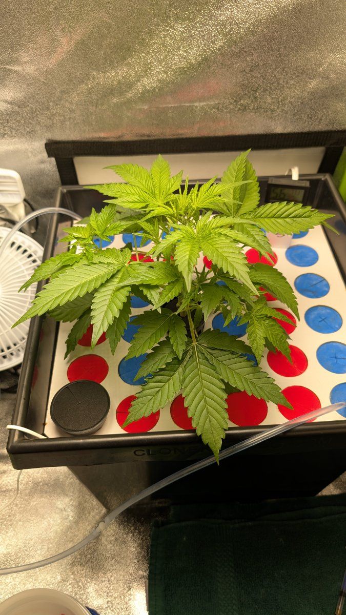 PXL 20251007 043543447