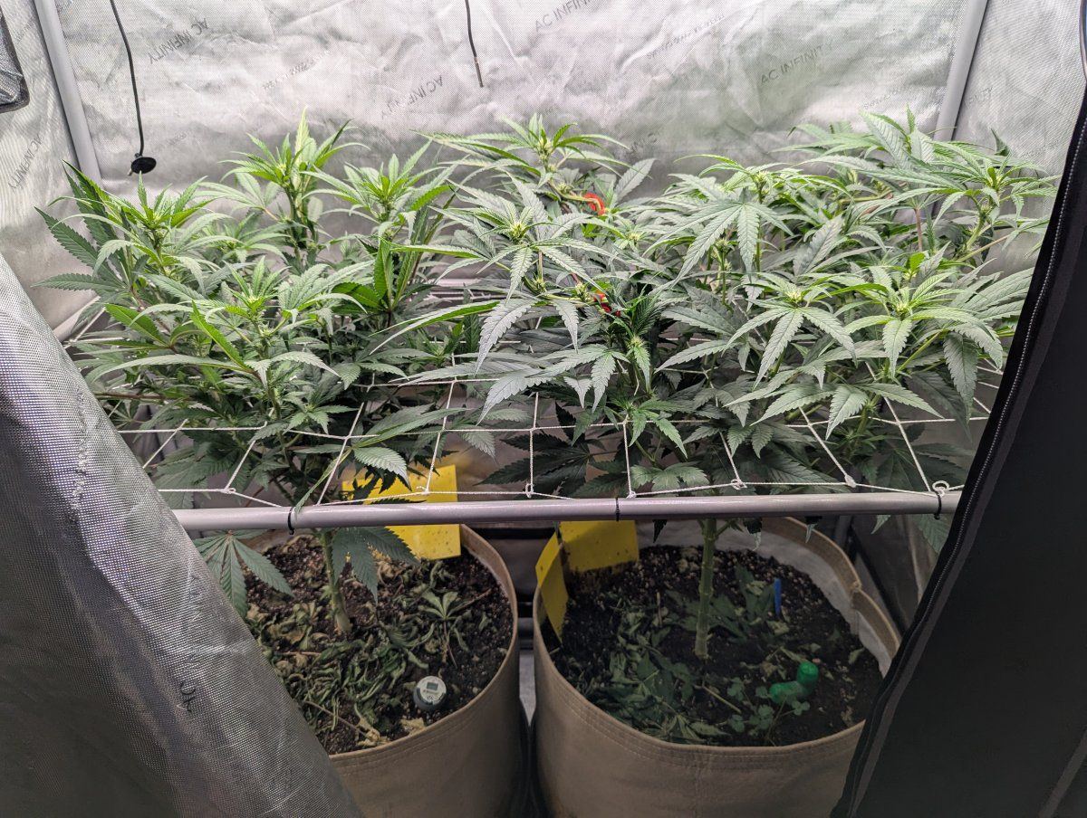 PXL 20251008 044404916