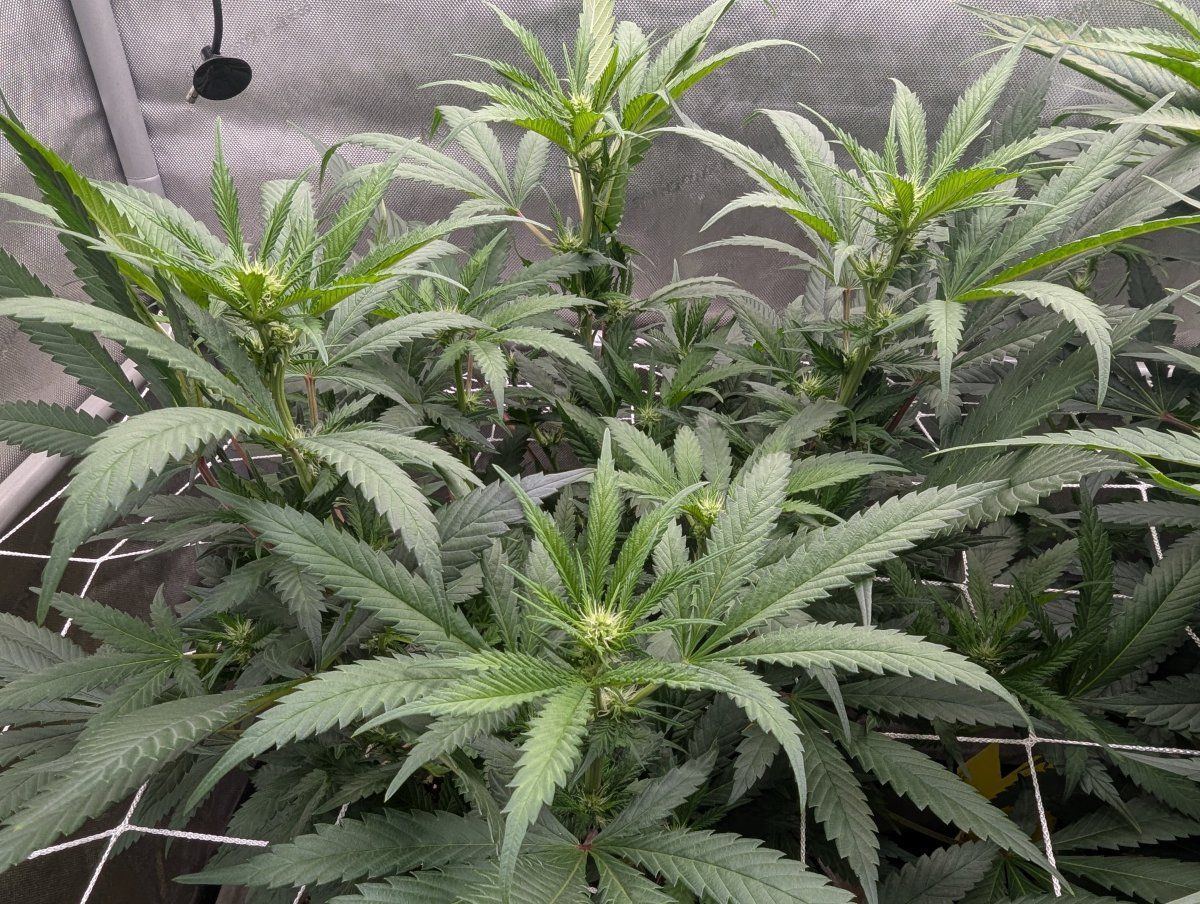 PXL 20251008 044429773