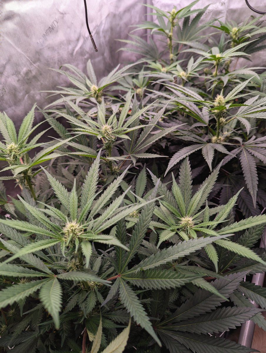 PXL 20251011 010626988