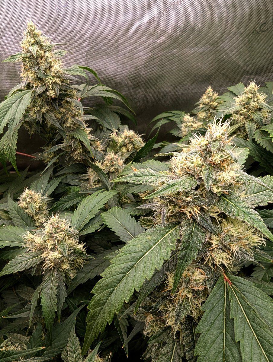 PXL 20251102 2014425042