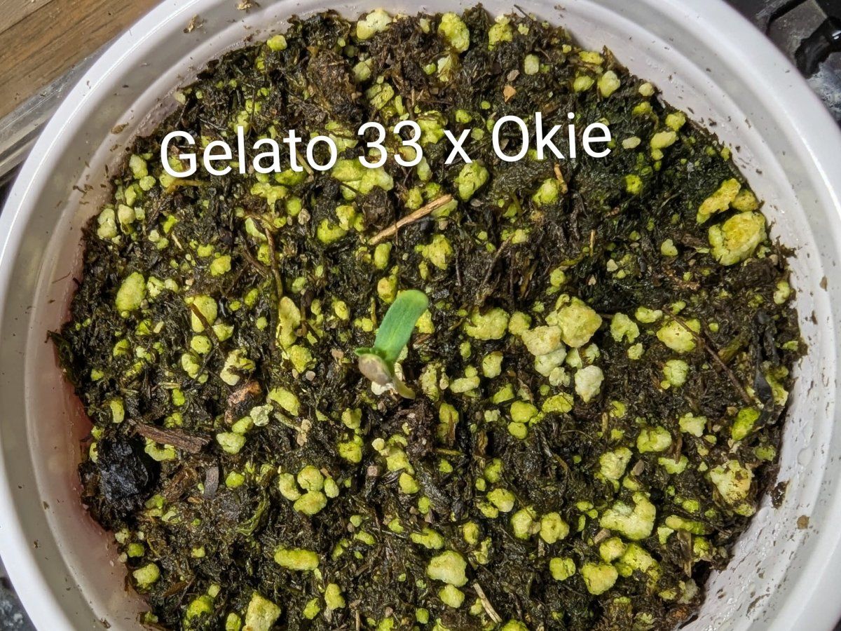 PXL 20251112 0143439203