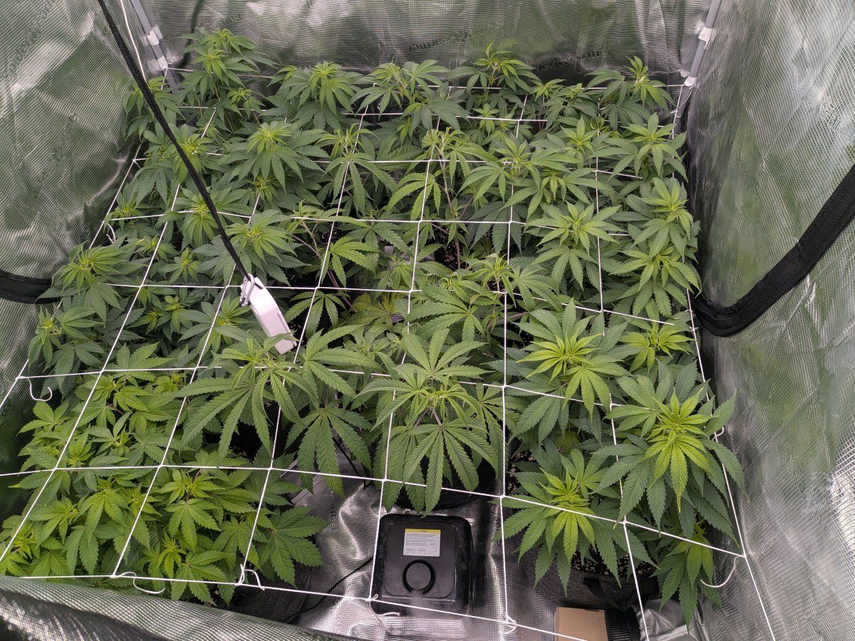 PXL 20251207 095847580