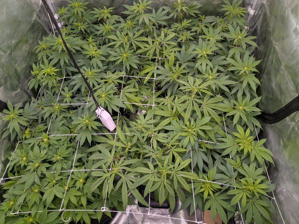 PXL 20251214 110840620