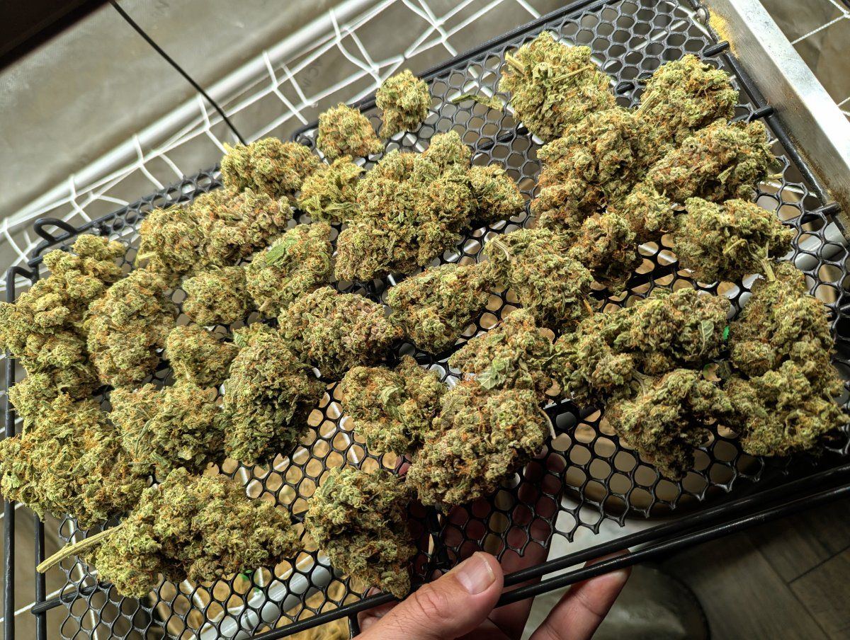 PXL 20251216 003612975