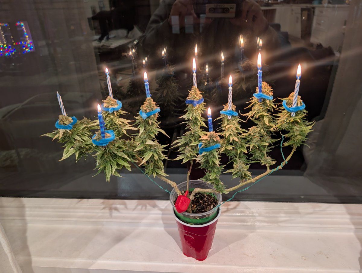 PXL 20251218 232659072
