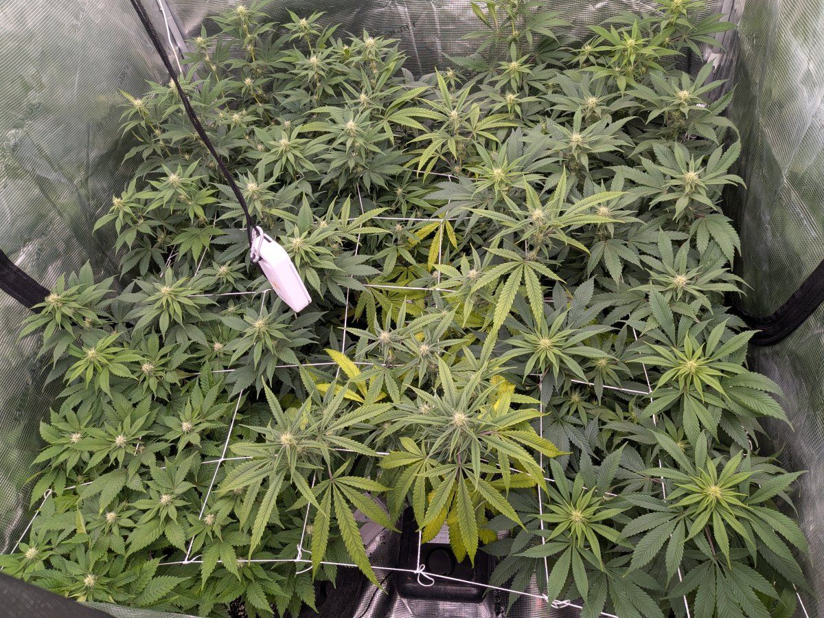 PXL 20251223 102446463
