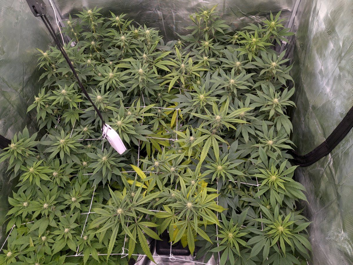 PXL 20251223 102500032