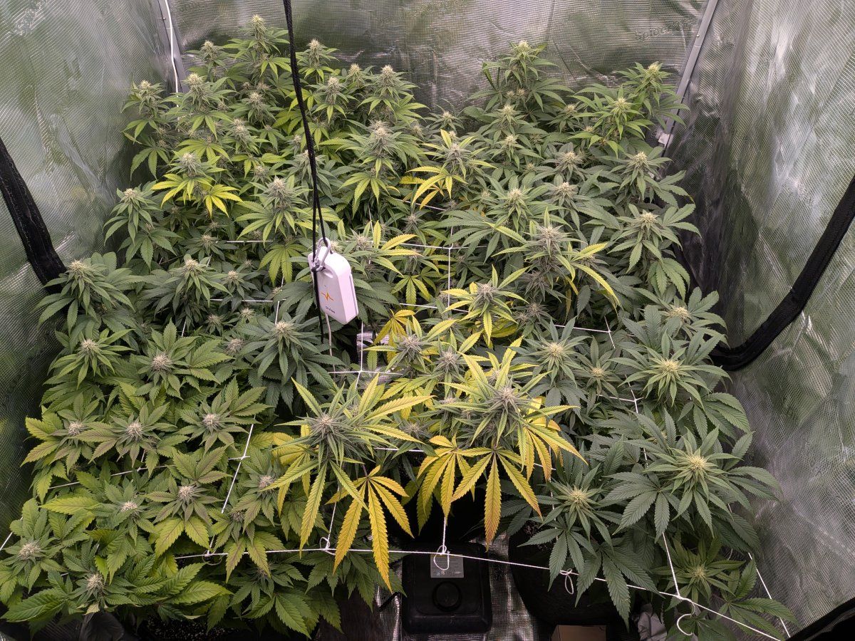 PXL 20260102 030609460
