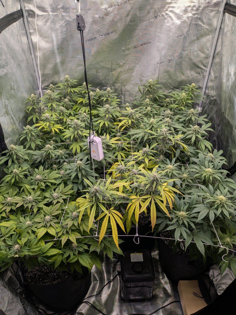 PXL 20260102 030628850