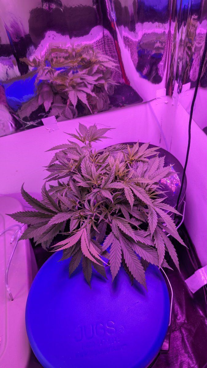 PXL 20260105 204557289