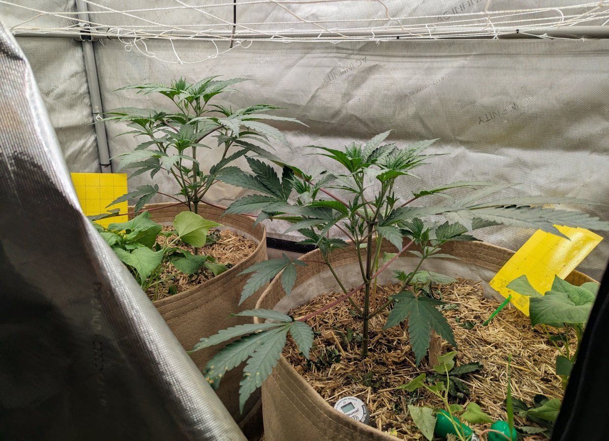 PXL 20260108 025521342