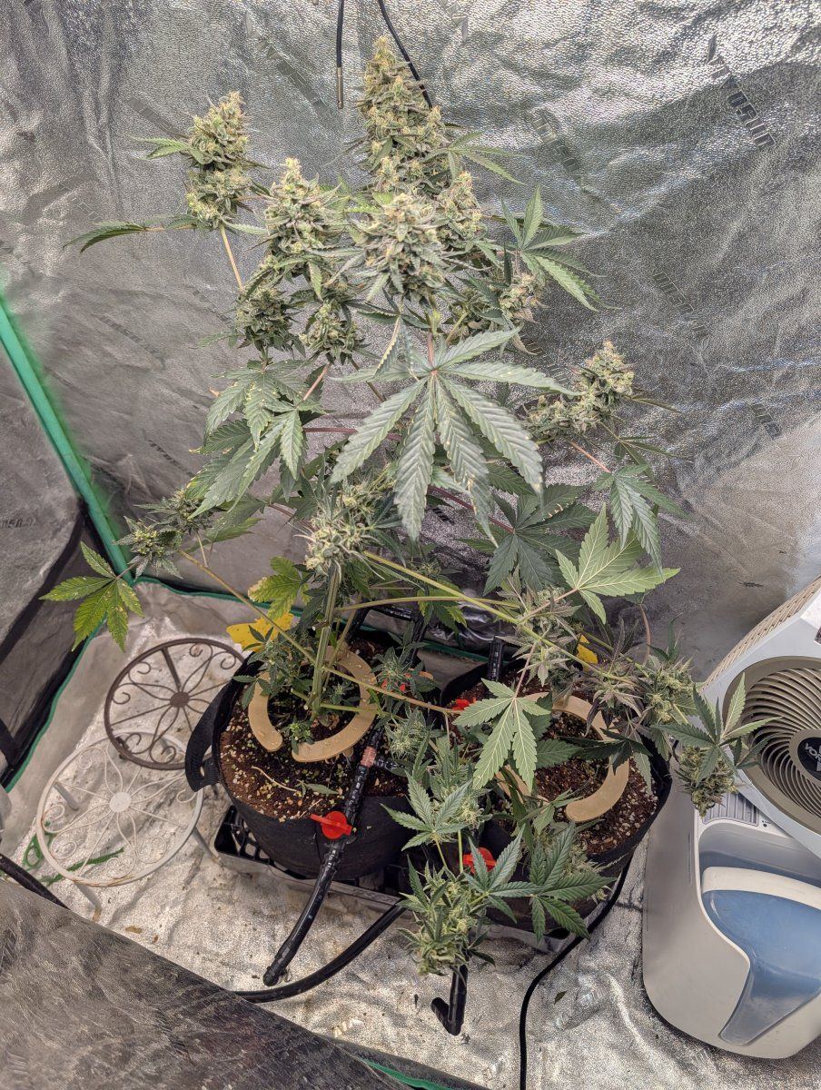 PXL 20260108 142238381