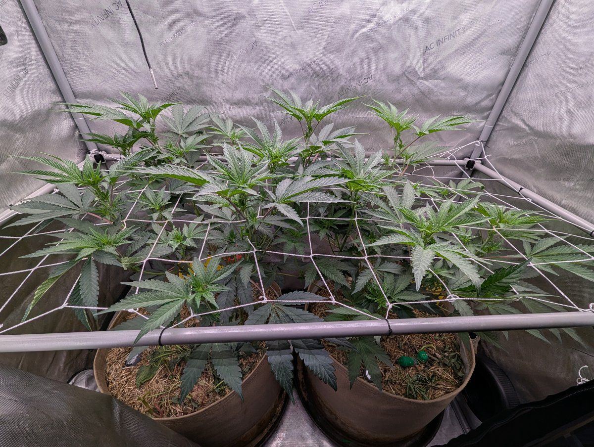 PXL 20260121 0031260692