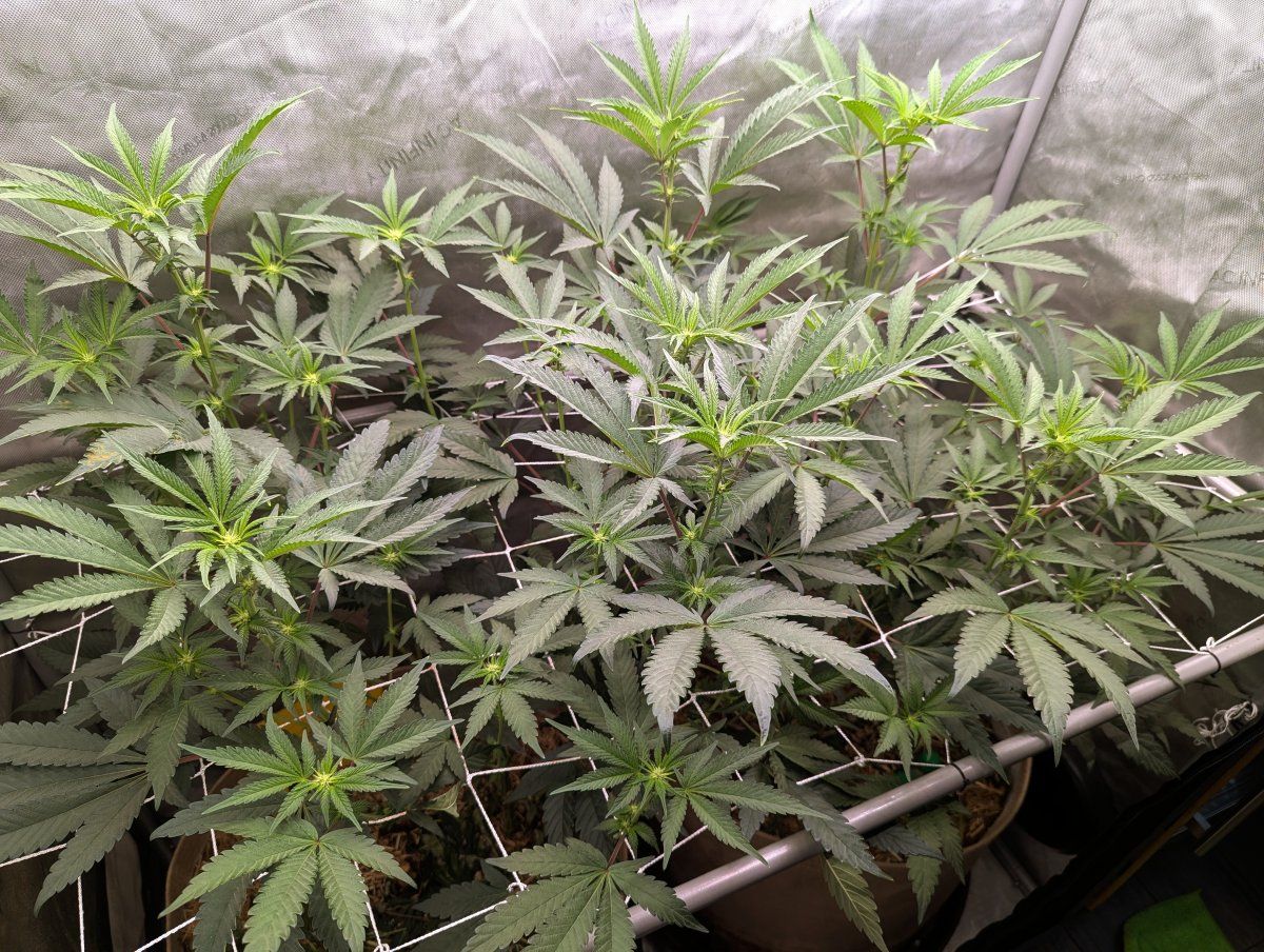 PXL 20260124 205841328