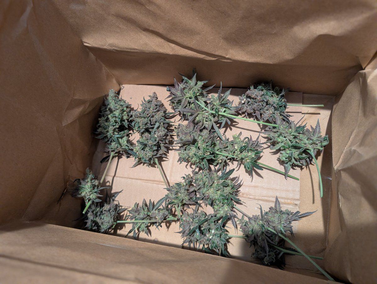 PXL 20260203 170646543