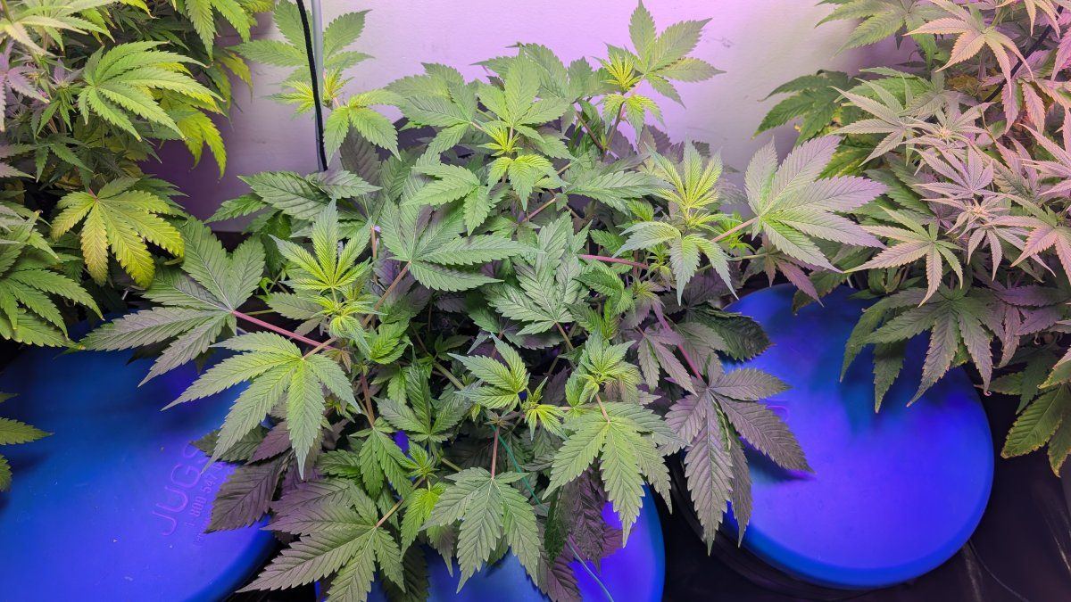 PXL 20260206 055314218
