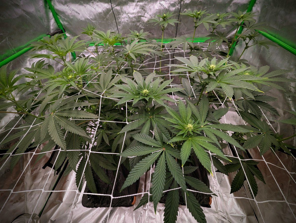 PXL 20260209 052425274