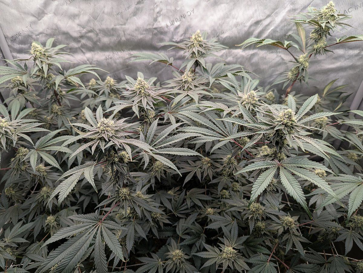 PXL 20260218 2022023932