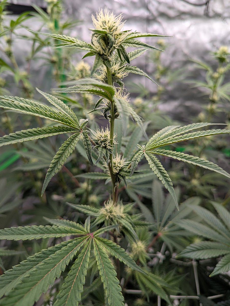 PXL 20260222 0348281332