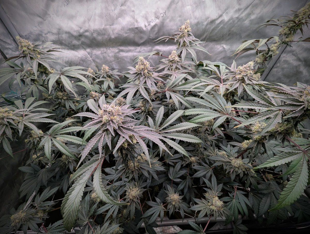 PXL 20260301 001610149