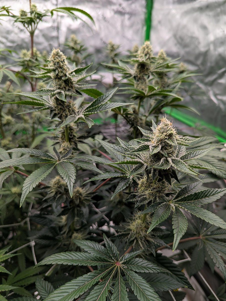 PXL 20260301 0543083172