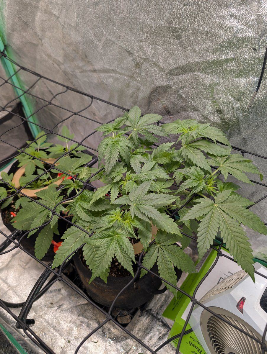 PXL 20260304 152034293