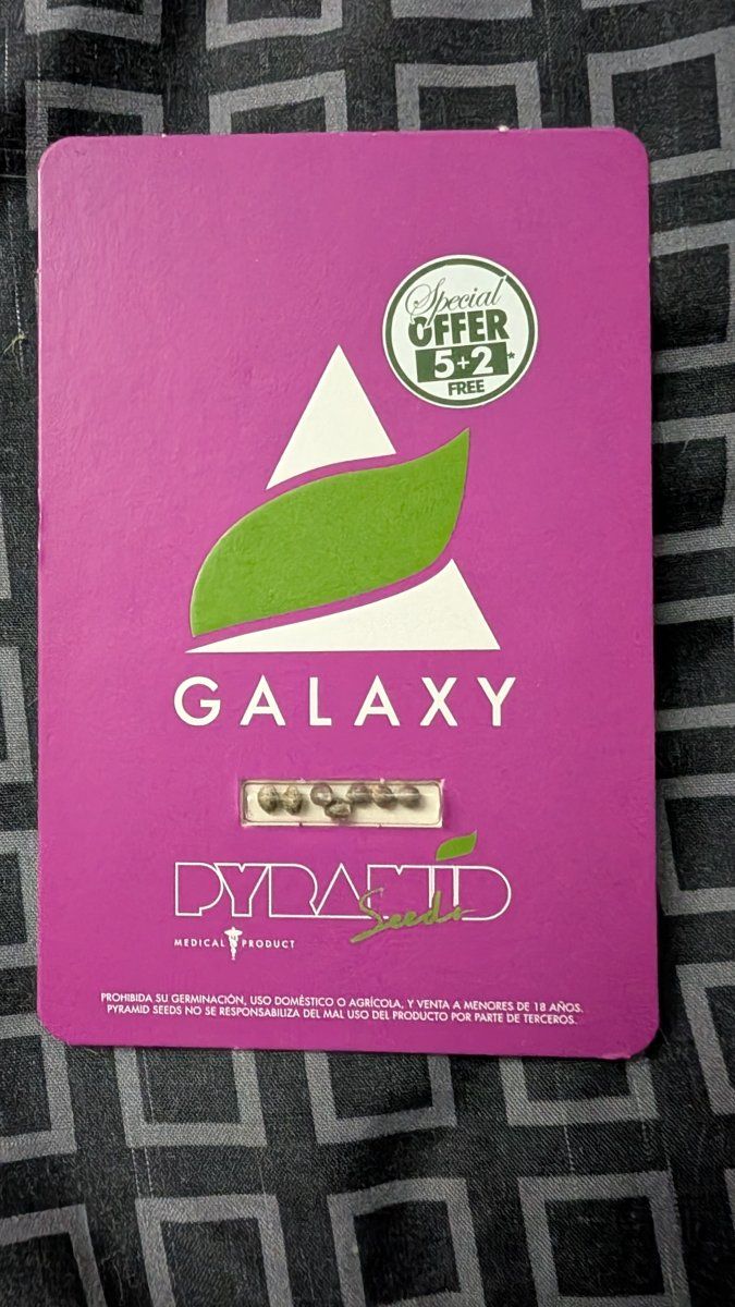 PXL 20260306 202000655