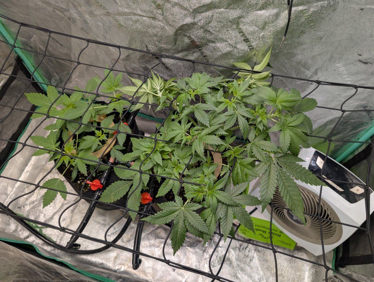 PXL 20260309 131808463