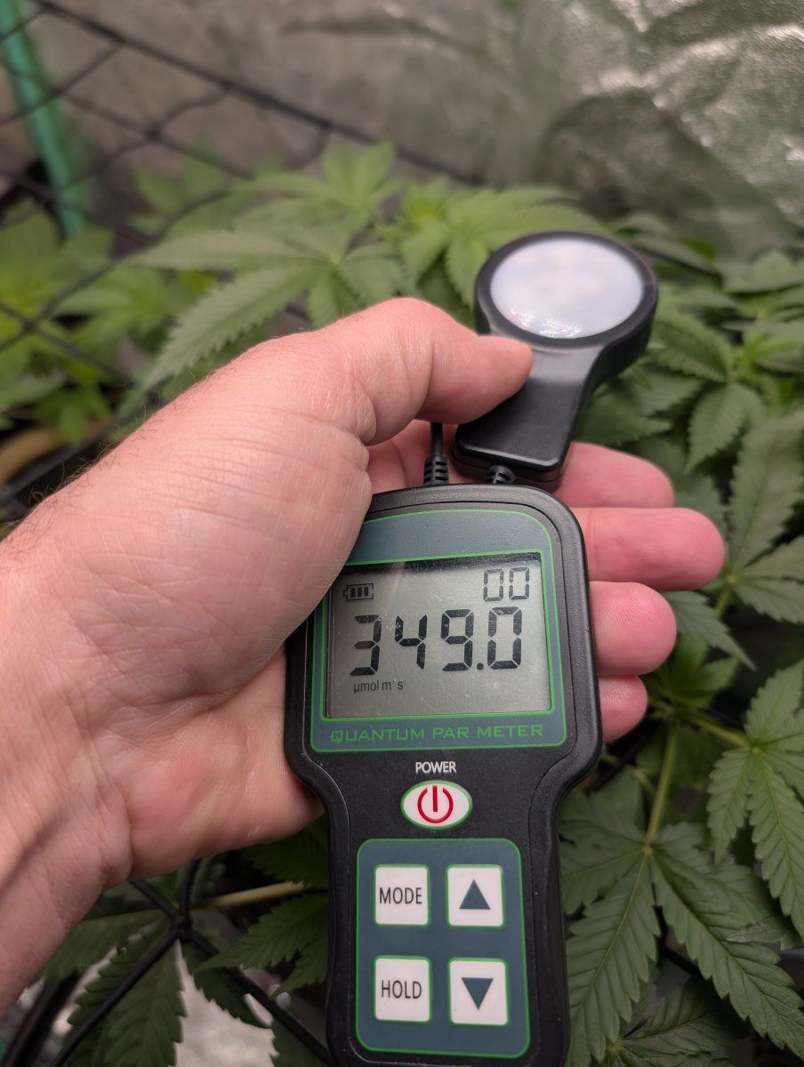 PXL 20260314 120857822