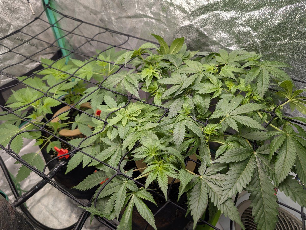 PXL 20260315 124215703