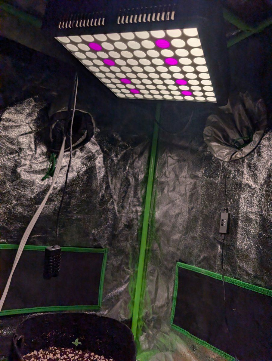 PXL 20260316 143858600