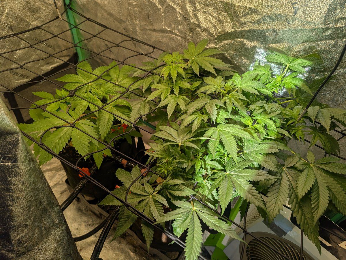 PXL 20260321 135716902