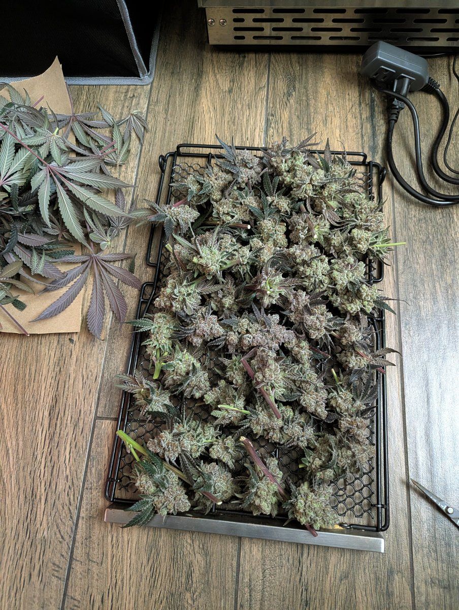 PXL 20260322 1811073402